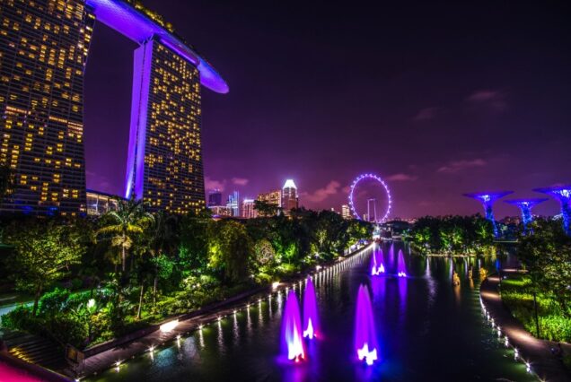 10 days Singapore Malaysia with Cruise (9 nights / 10 days)